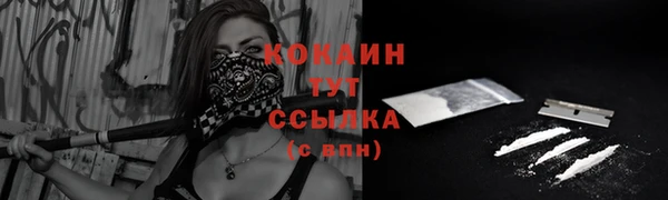 первитин Михайлов