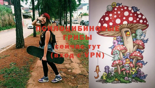 первитин Михайловск