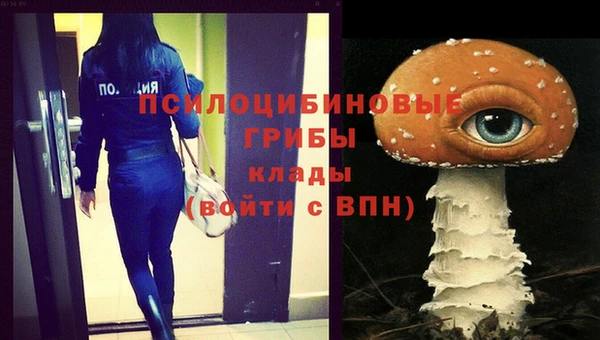 первитин Михайлов